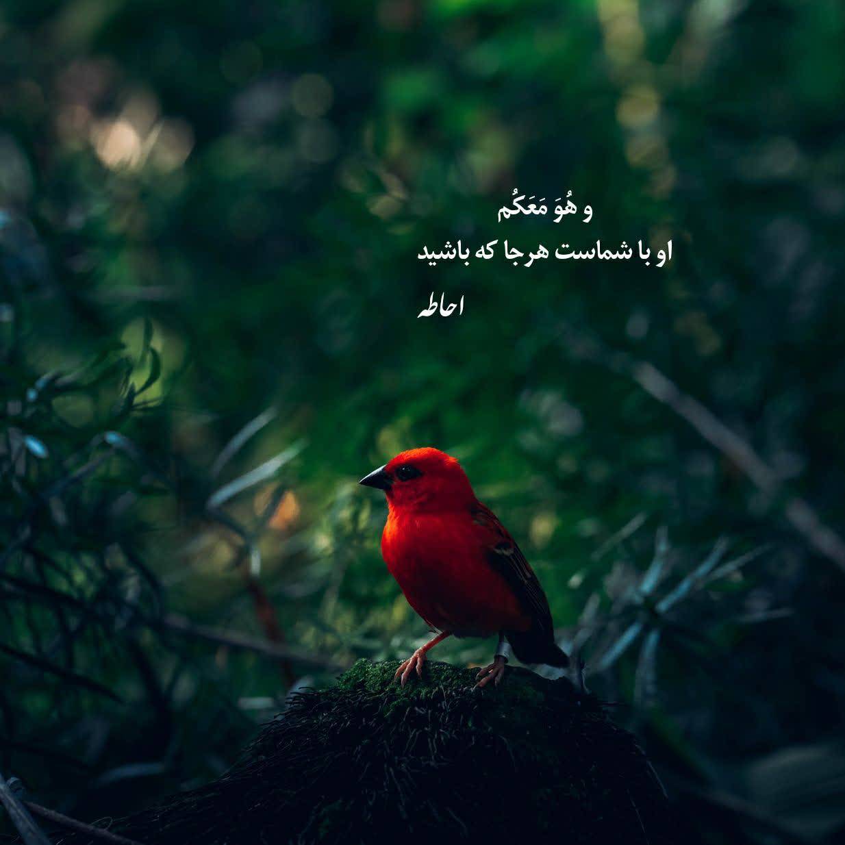 #حس خوب